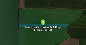 Teren arabil extravilan 24.500mp, Brebeni, jud. Olt