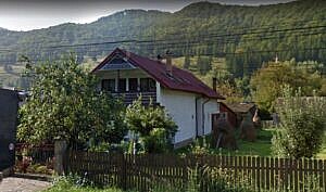Casa P+E 125mp + casa P+E 48mp + teren intravilan 397mp, Tarcau, jud. Neamt