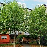 Apartament 2 camere, 50,39mp, Drobeta Turnu Severin, jud. Mehedinti