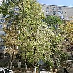Apartament 4 camere, 81,73mp, sector 6, Bucuresti