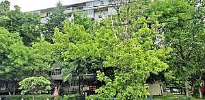 Apartament 2 camere, 44,59mp, sector 4, Bucuresti