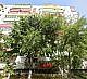 Apartament 3 camere, 64,44mp + boxa, sector 5, Bucuresti