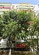 Apartament 3 camere, 64,44mp + boxa, sector 5, Bucuresti