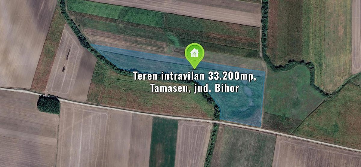 Teren intravilan 33.200mp, Tamaseu, jud. Bihor