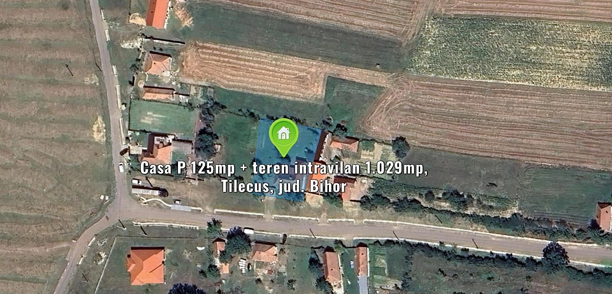 Casa P 125mp + teren intravilan 1.029mp, Tilecus, jud. Bihor