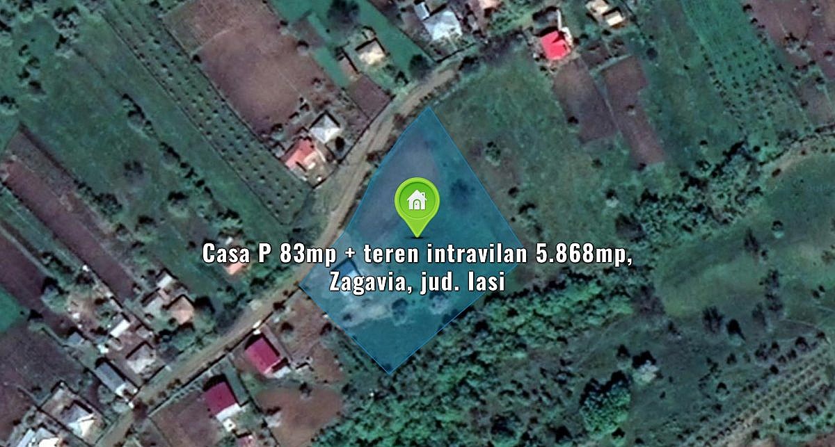 Casa P 83mp + teren intravilan 5.868mp, Zagavia, jud. Iasi