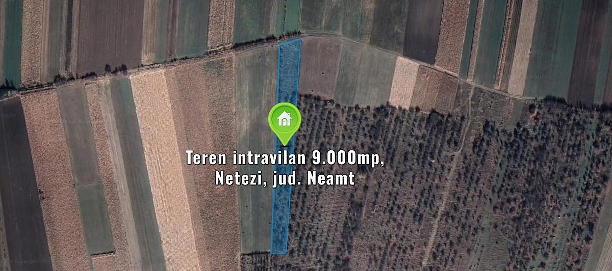 Teren intravilan 9.000mp, Netezi, jud. Neamt